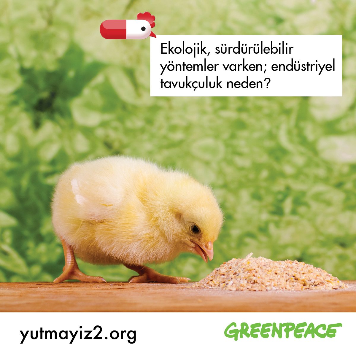 Ekolojik, sürdürülebilir yöntemleri seçmeyen tavukçuluğu #yutmayız diyorsan sen de katıl>> bit.ly/29PpYVi