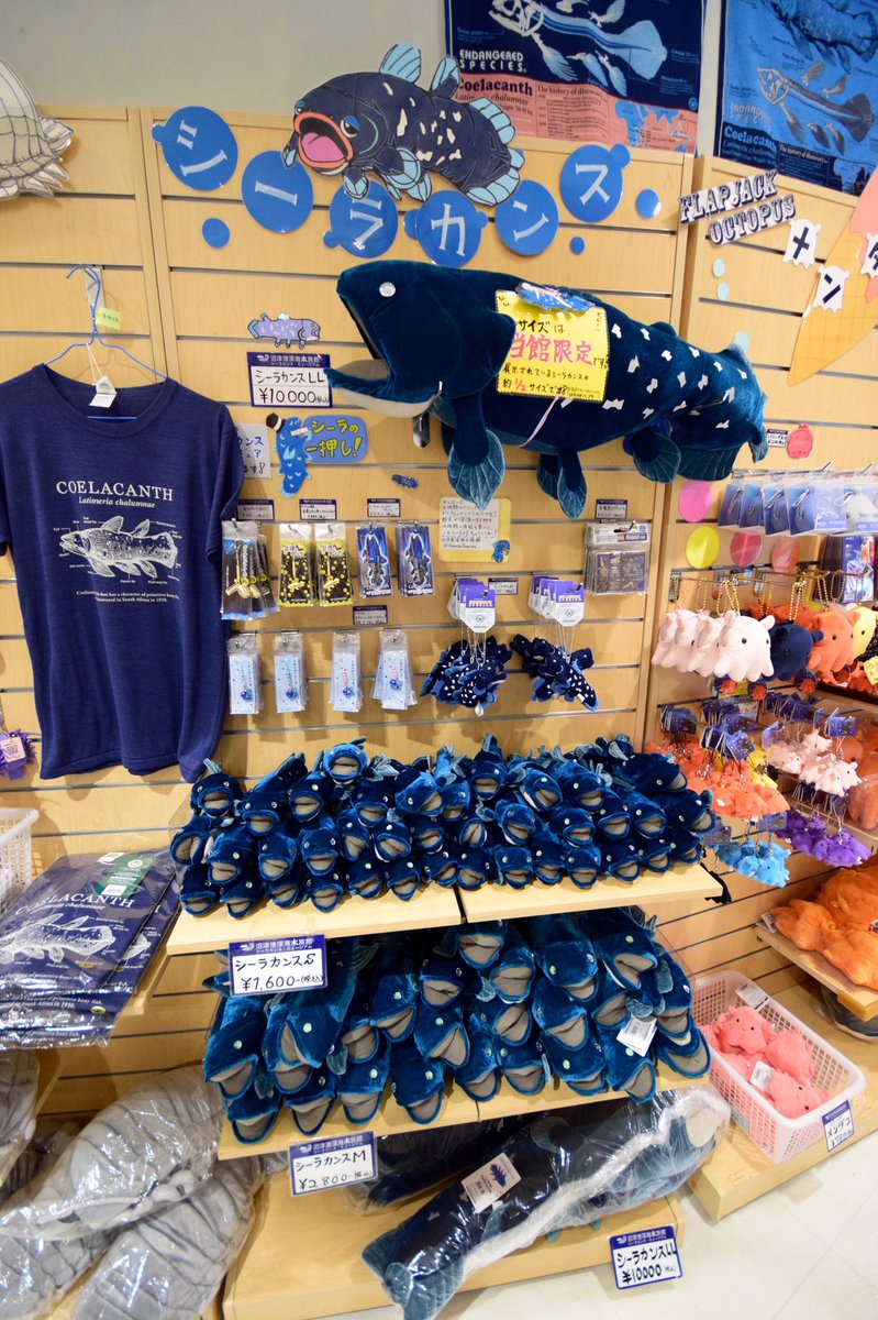 シーラ・カンスー！でおなじみ沼津港深海水族館。念願のシーラカンス