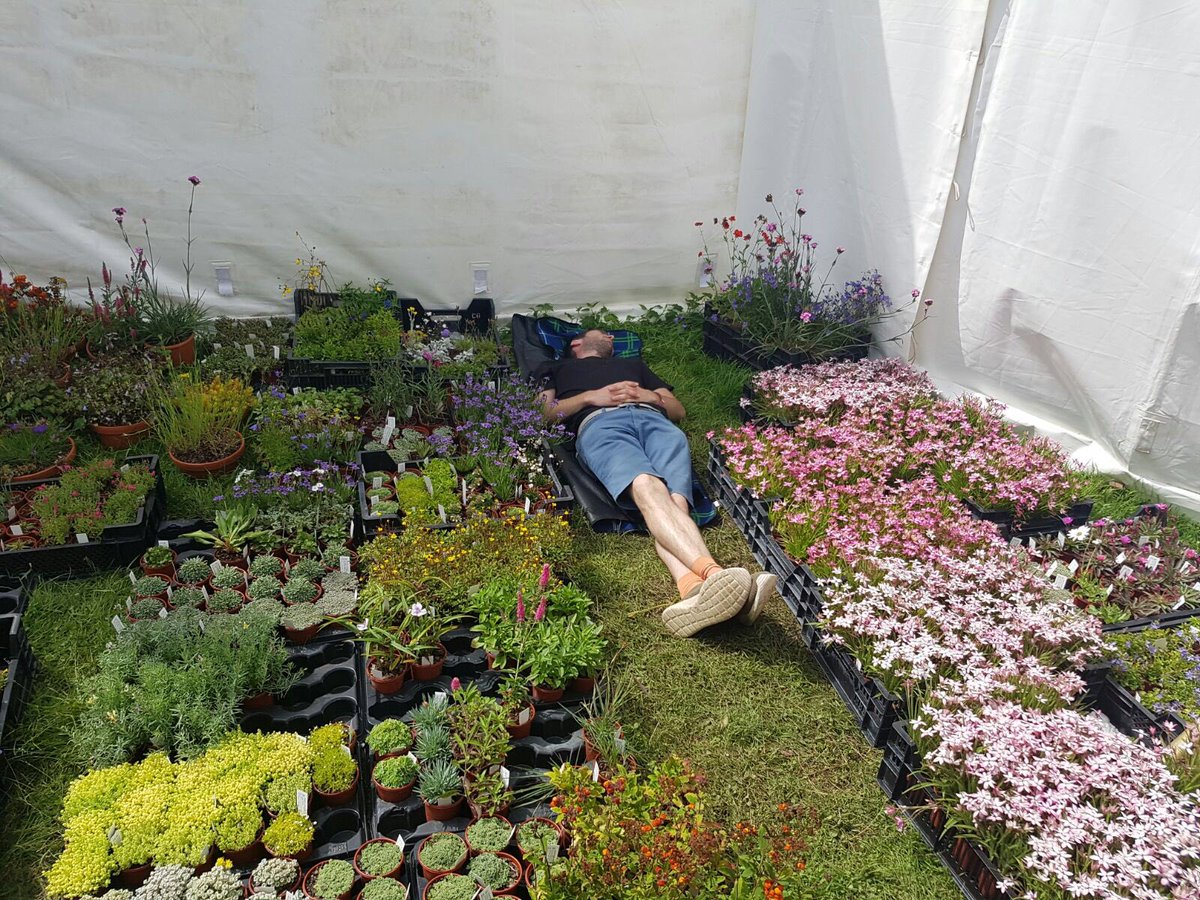 DarcyEverest's tweet photo. After a very tiring week of RHS Hampton Court and newborn duties we are excited to have won the Golden Gnome award https://t.co/qspk97ZkzV