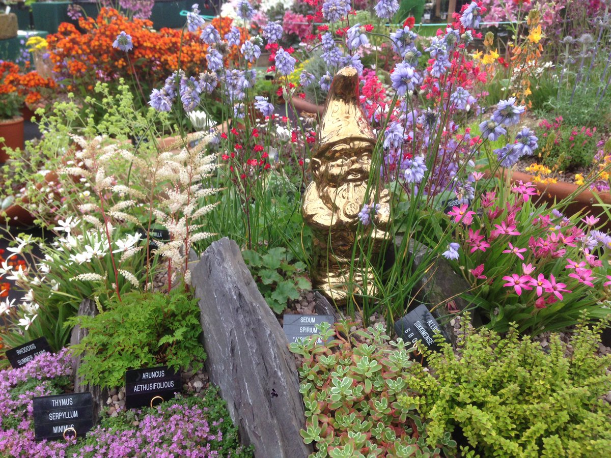 DarcyEverest's tweet photo. After a very tiring week of RHS Hampton Court and newborn duties we are excited to have won the Golden Gnome award https://t.co/qspk97ZkzV