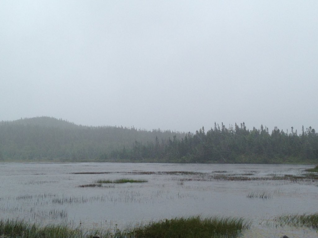 McAdam_lab's tweet photo. #CSEE2016 On my own post conference trip to where my GGGGfather arrived in Canada by shipwreck at Cape Race in 1863 https://t.co/W56KSG5r4P