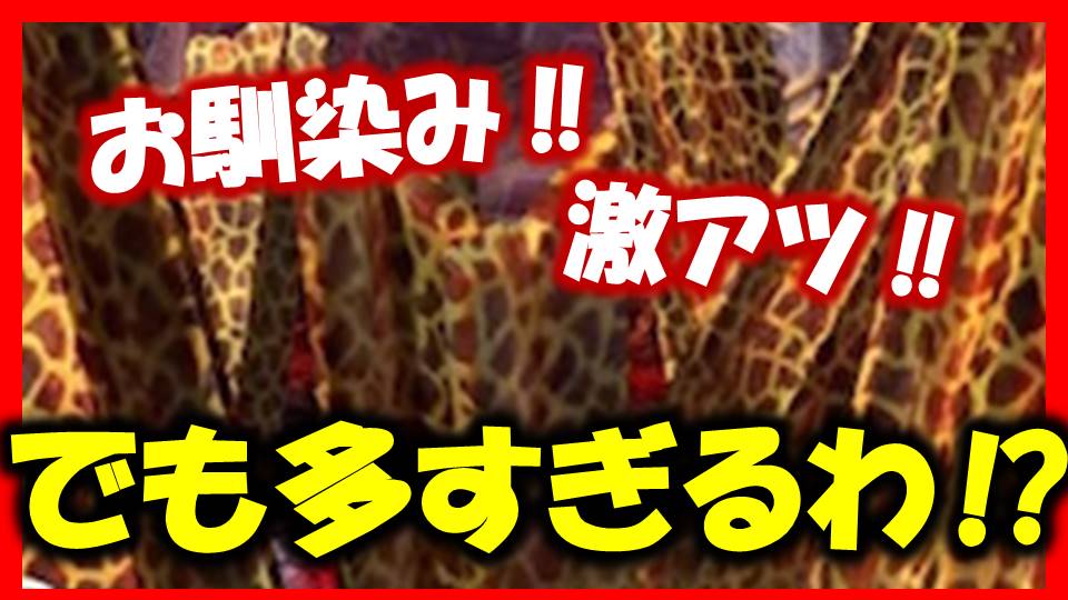 お前はもう激アツっている 北斗チャンネ Sammytryner Twitter お前はもう激アツっている 北斗チャンネ Sammytryner Twitter
