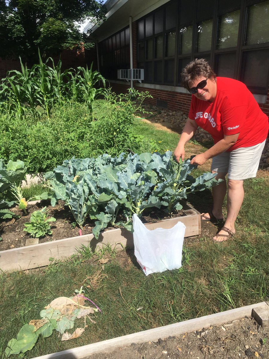 MSSElementary's tweet photo. Don't forget Garden Monday's are here!! Stop by MSS for a snack and fresh veggies to take home! https://t.co/FNsE9pBw9n