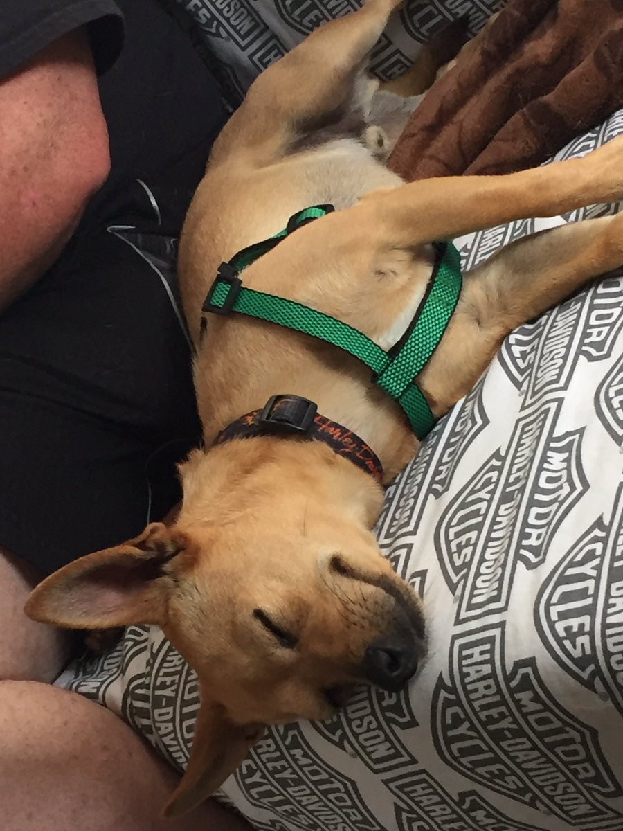 PICKMICK2016's tweet image. Mom has decided to create a "bucket list" for me.  Help her create it! Comment below with your ideas.