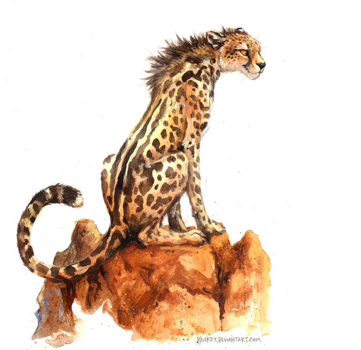 tessgarman's tweet photo. King Cheetah from a stupid'o'clock AM stream! https://t.co/tsbgfTI2Pm
