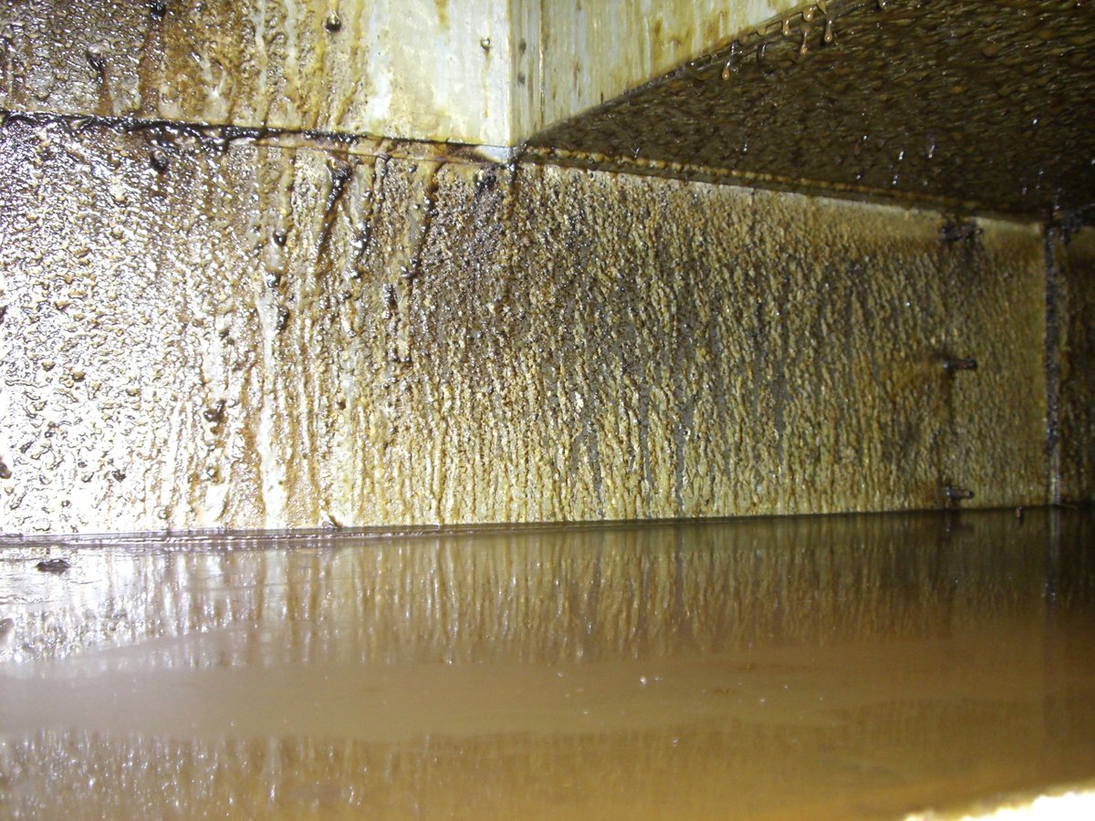 dcsblackpool's tweet image. We get a lot of satisfaction from the hard work that we put into our cleaning, @dcsblackpool #cleaning #restaurant