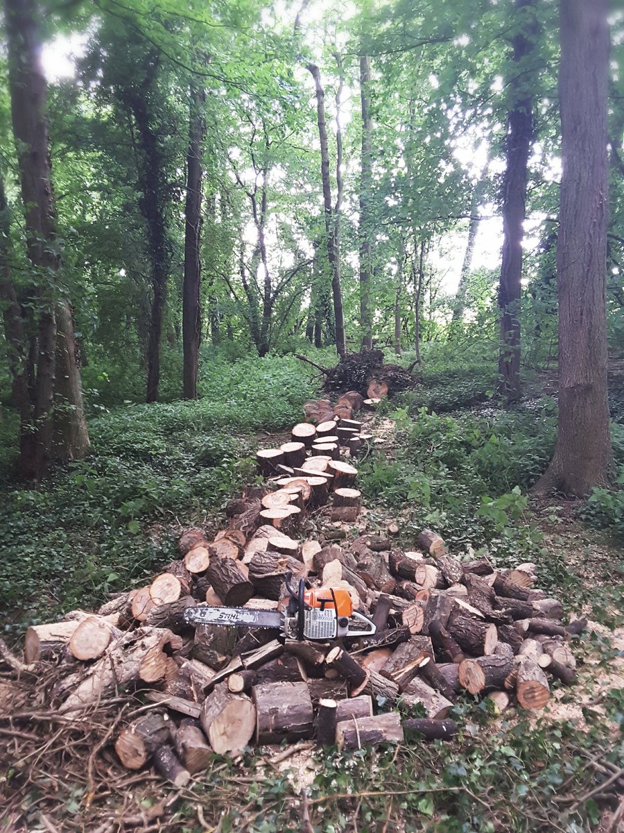 JemGardens's tweet photo. Busy day logging with the 'Beast' #lumberjack #stihl #ms660 #woodland @STIHL_GB https://t.co/sXVoz4AscK