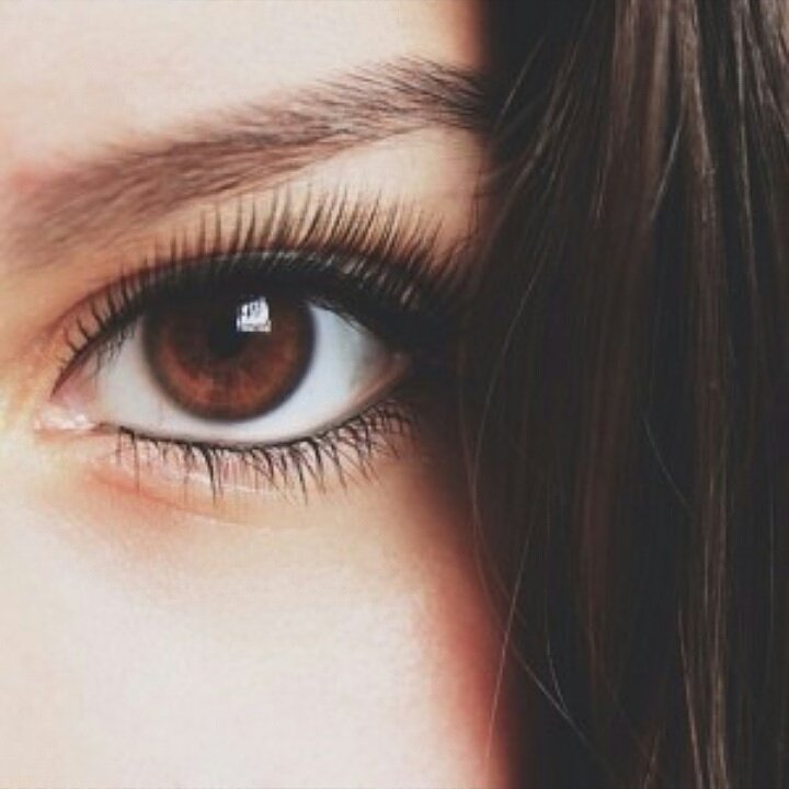__enriquetta__'s tweet photo. https://t.co/eSIgCRVirM
