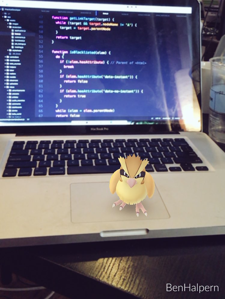 ThePracticalDev's tweet photo. Wild Pidgeys are bad for productivity https://t.co/fGbKMaSyBY