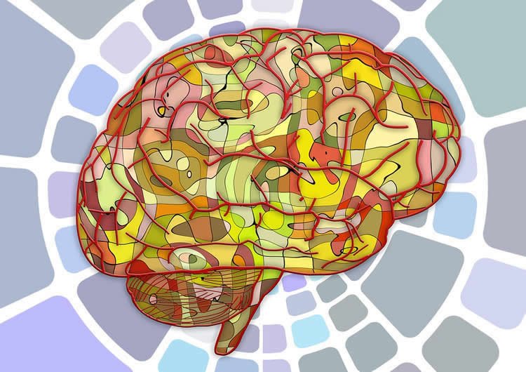 Study Finds Link Between TBI and Parkinson's, But Not Alzheimer's neurosciencenews.com/parkinsons-tbi… #neuroscience #science