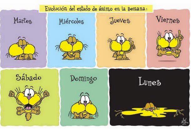 #BuenLunes...