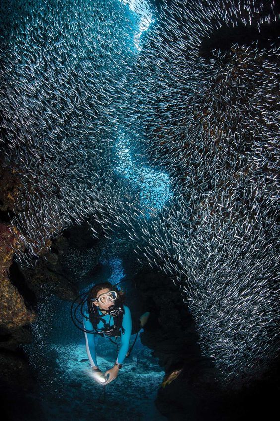 excitymx's tweet photo. ¡Exploring!... -Foto Vía: @pinterest https://t.co/zj5QOY5KyP