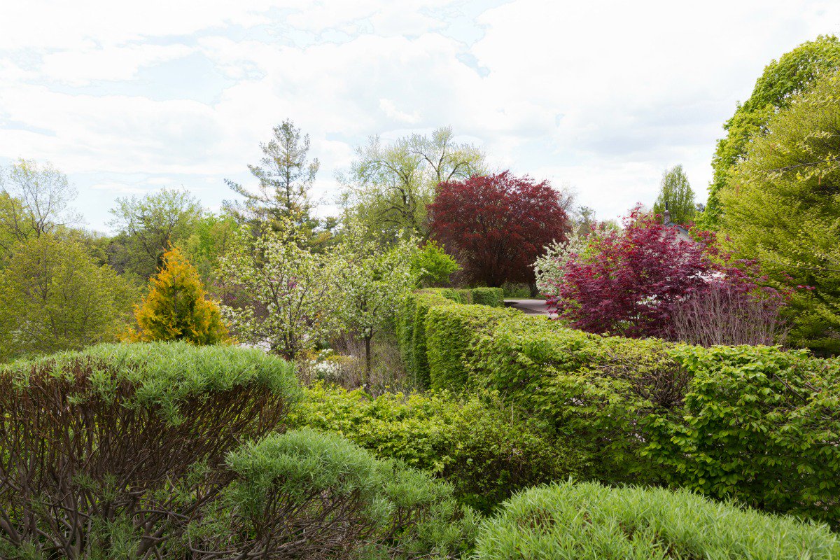 RodeoCondos's tweet image. Spend an afternoon exploring the scenic greenspace nearby @cfshopsdonmills bit.ly/293RXPL