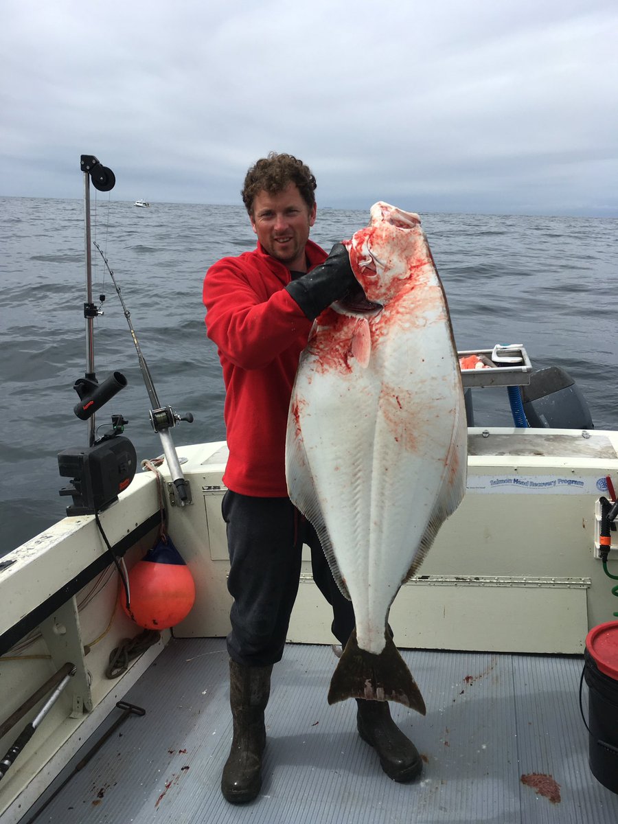 MacksCharters's tweet image. 14 days of successful charters, time for a rest and give the Yamaha a much needed oil change @YamahaBoating #fishing