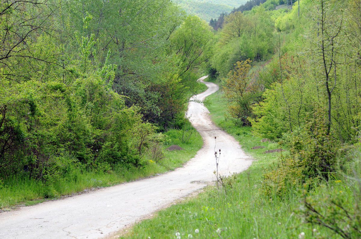 MillettePest's tweet image. Did you know that #BlackleggedTicks prefer to hide in grass and shrubs while waiting for a passing host?