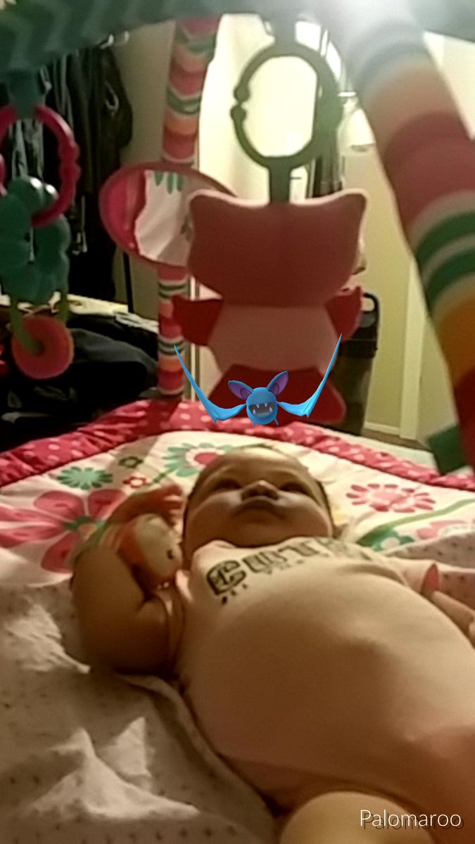 palomaroo's tweet image. I saved Charlotte from Zubat!  #PokemonGO