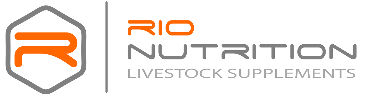 Exciting News! We've just launched our brand new logo. Same people? Yep! Same products? You bet! New logo? Yessir.