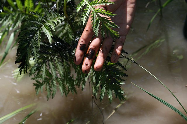 I was sick for a year after an oil spill. 5 years later, pipeline accidents are worsening>>ejus.tc/29DDOYR