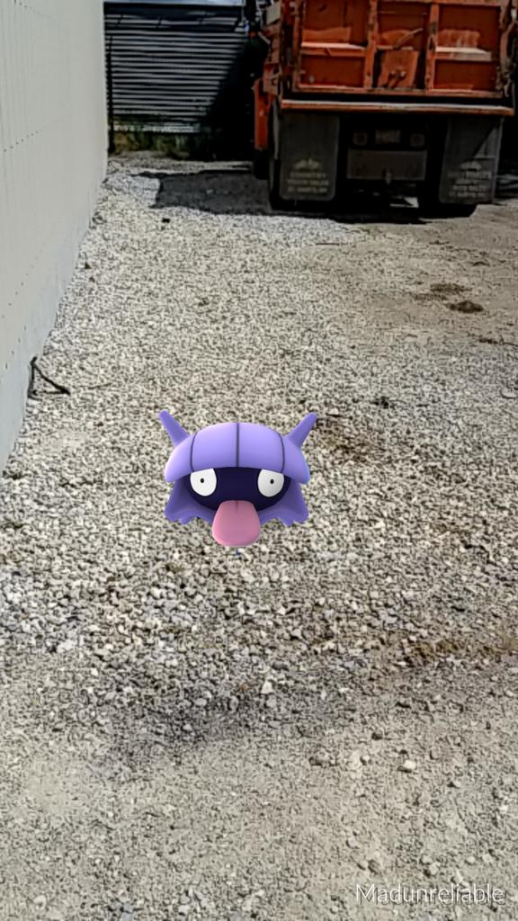 MatthewSchroye1's tweet photo. Getting real tired of Shelder's shit #PokemonGO https://t.co/6HWFU2xzqx
