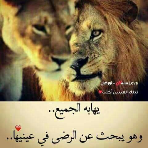MoheIslam's tweet photo. @inassinass30 https://t.co/DKIuCQyGhv