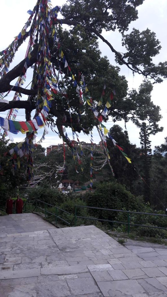 AllHiking's tweet photo. Kathmandu hiking#Dakchhinkali#chisapani https://t.co/d0ykbvHaNZ