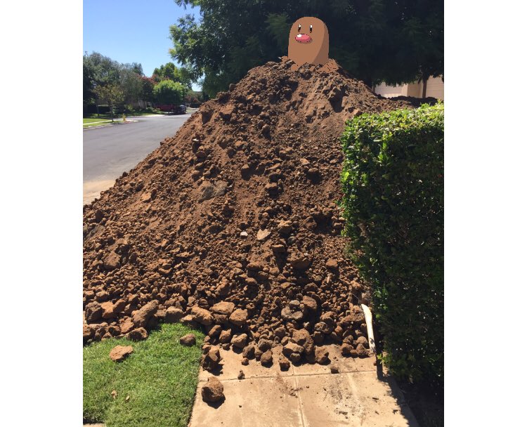 GraberGarrett's tweet photo. Freakin Diglett scared the crap out of me https://t.co/N4hXDjX9QY