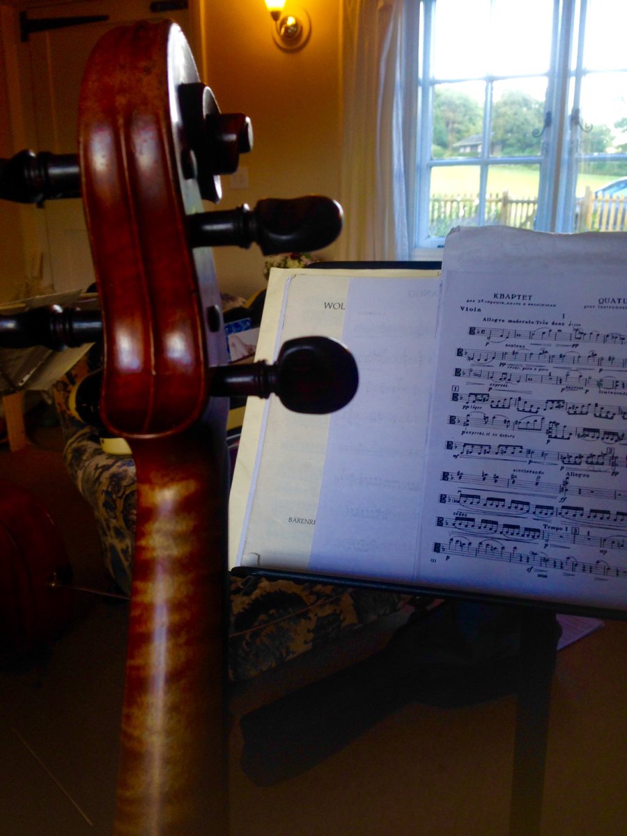 nataliagomes80's tweet photo. Perfect setting to rehearse Ravel &amp; Bax. #greatmusic #greatfood #greatviews @ThePavaoQuartet https://t.co/I6zcRV5VTX