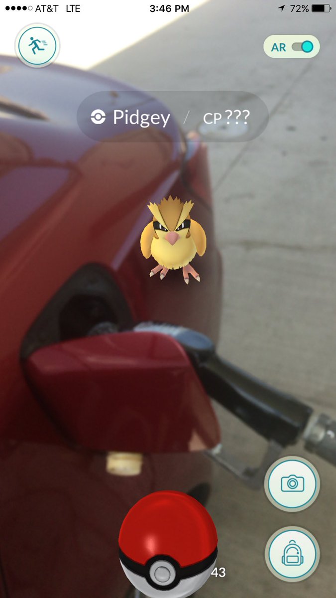 kevinjairaj's tweet photo. I must beat @alycia__savage at cross country #PokemonGO 😜😜 The rare gas guzzling Pidgey 😜😜 #imtoocompetitive https://t.co/tNtb2Qn7oR