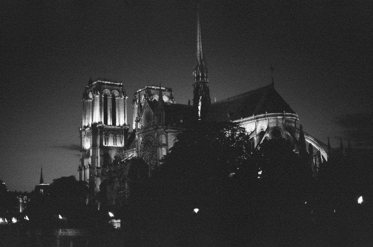 proletkult's tweet photo. Notre Dame, Paris  2015 https://t.co/vKmP0njd52