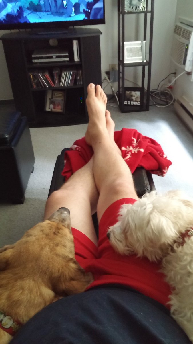 BigD_InThePeg's tweet photo. Pups resting their heads... And without barking at each other. Lol 😜 #AdventuresOfRex #HanginWithMrCooper https://t.co/wmftUc9AMG