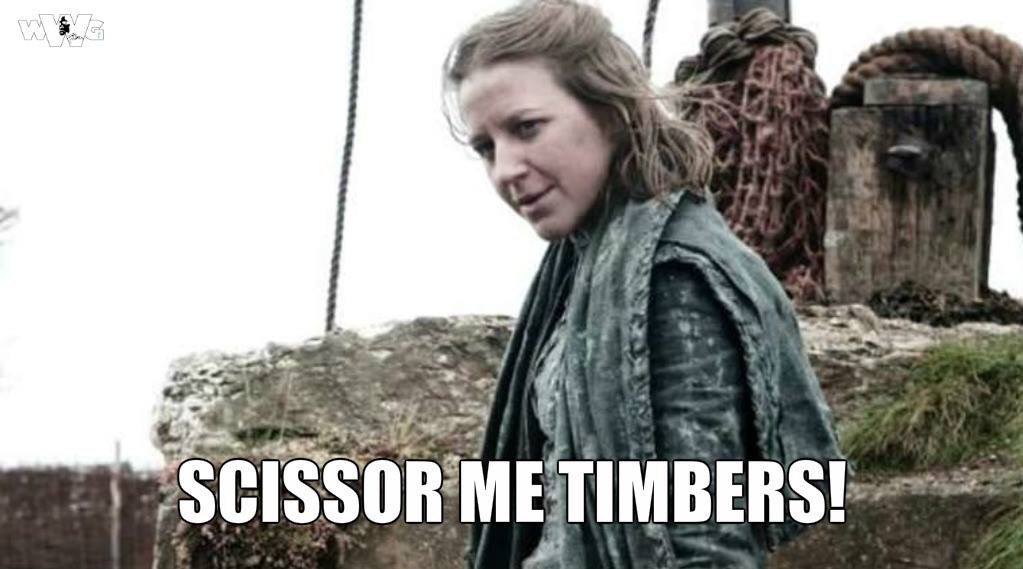 Asha Greyjoy (@reavingasha) on Twitter photo 