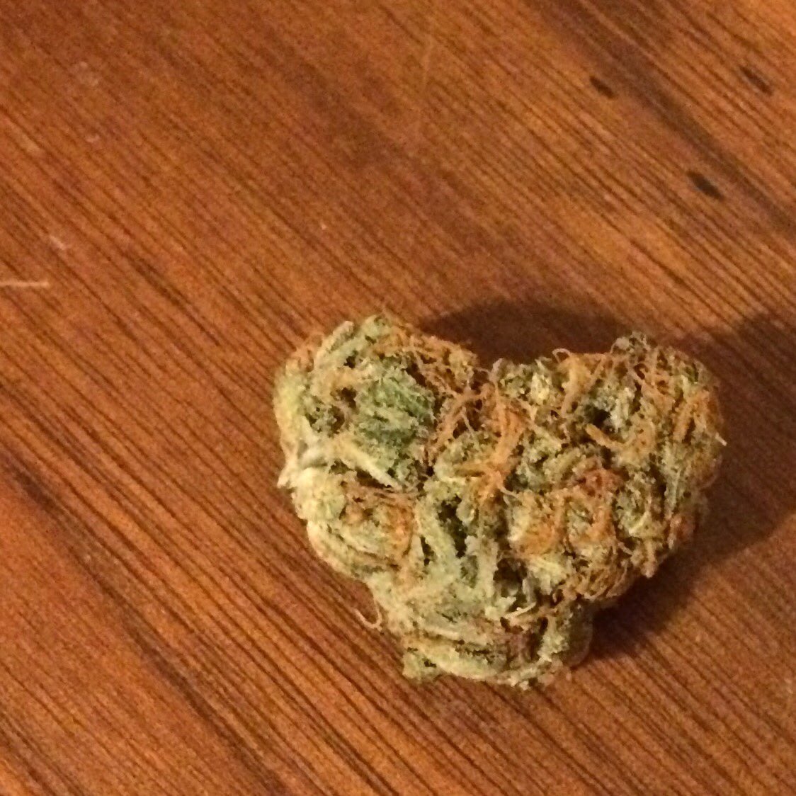 budtenderca's tweet photo. @kiwi_ziggy And yes, all hail the glorious #sativa! #SilverHaze #sativalove https://t.co/XUVrPm00FT