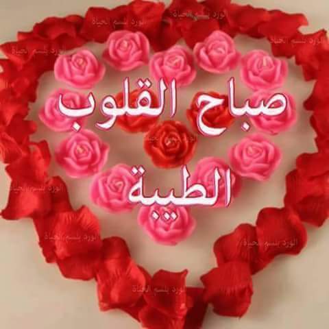 الحربي (@mohammeddaash26) on Twitter photo 