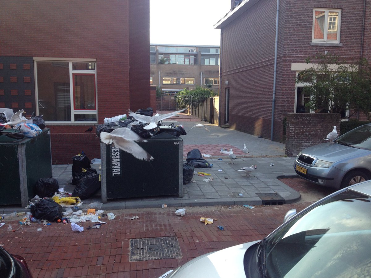 JimMuijselaar's tweet photo. @GemeenteDenHaag bedankt! De containers zijn zondag geleegd. Hoe gaat de gemeente dit in de toekomst voorkomen???? https://t.co/GLrR4lkDiH