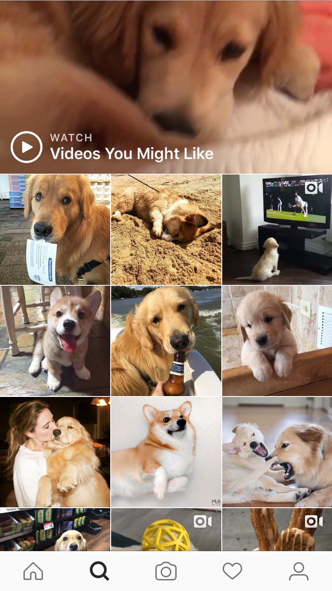 The_Ho23's tweet image. My discovery page is probably a bit different than most people's 😳