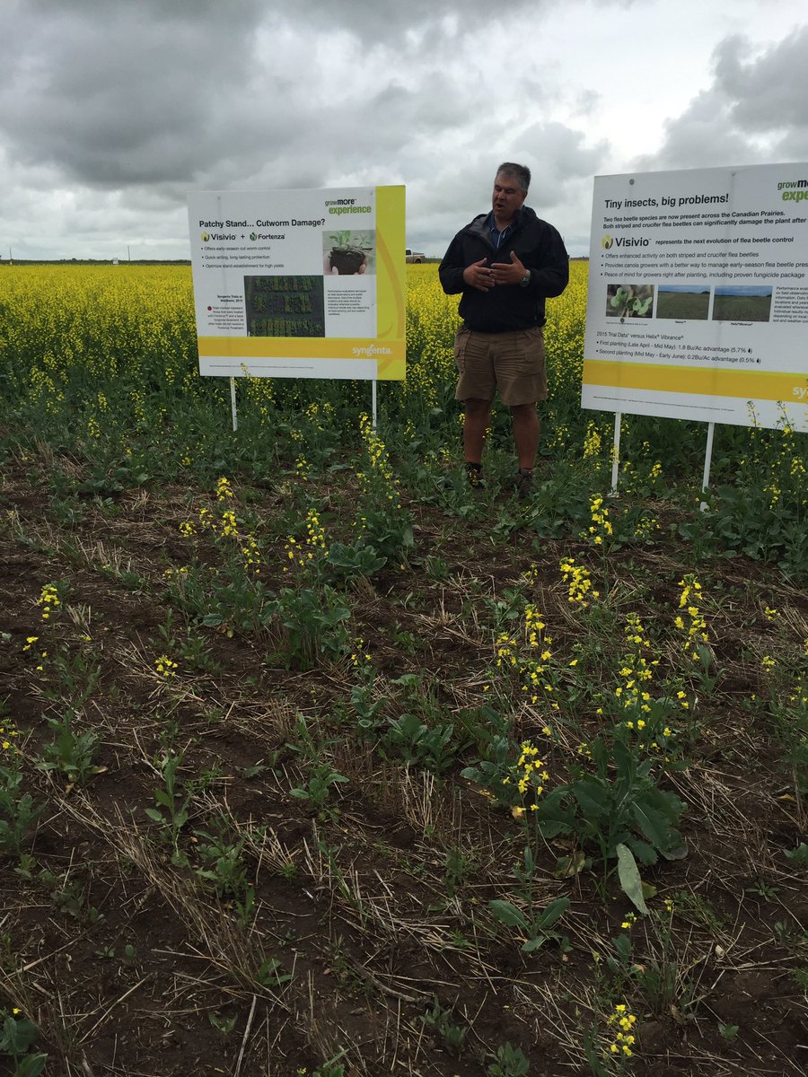 chadrick_carley's tweet photo. @TracyHDavid showcasing @syngentacanada canola varieties and canola seed treatment options. #SY4166 #SY4157 #SY4187 https://t.co/fMqAOnkt9l