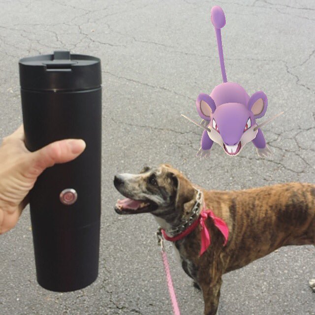 HeyJoeBeans's tweet photo. If only coffee worked like incense #PokemonGO https://t.co/5ytm3CmwAL