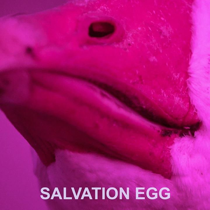 avantclard's tweet photo. My new project Salvation Egg with @cereboso is out now, it’s up on Spotify and at https://t.co/aXgmloc7pR https://t.co/vUTqACgUVR