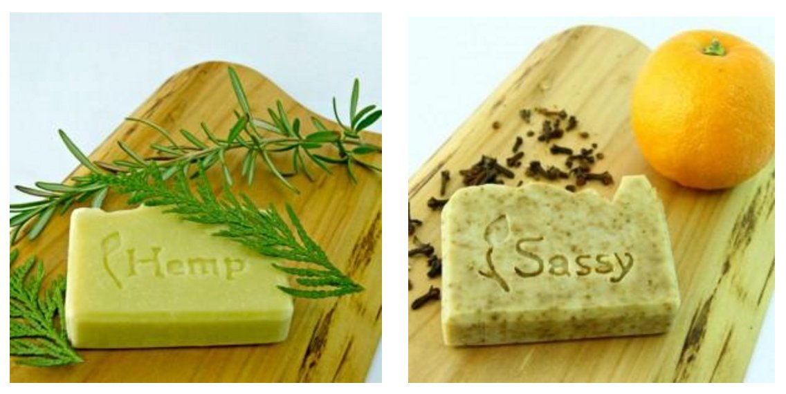 Bird on a Wire tweet media