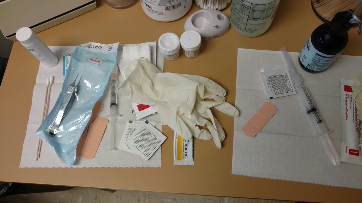 Timechuck's tweet image. Let the games begin!