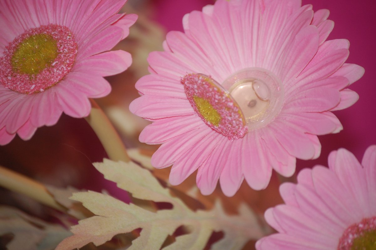 Boasting Candy-licious scents of Peppermint #EssentialOils which is great for the brain! prettythingsandco.com