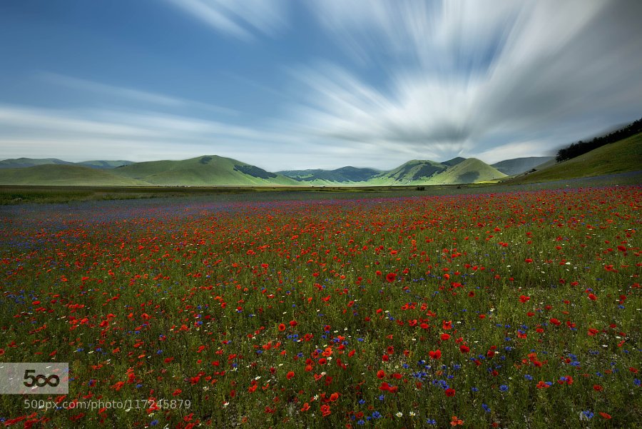 JoeJoeKeys's tweet image. Little Tibet by Marveros Castelluccio #Italy #Flowers