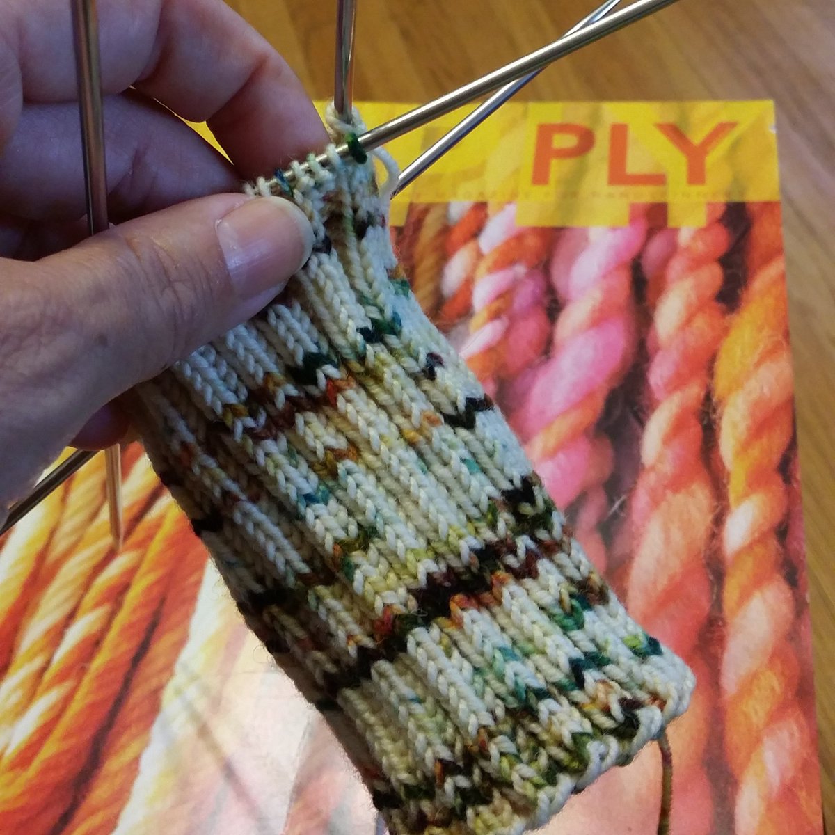 powdermaker's tweet photo. The knitting of the socks on the day of rest. #tourdefleece2016 #handknitsocks #plymagazine #hiyahiya https://t.co/Q4fbzHKBzV