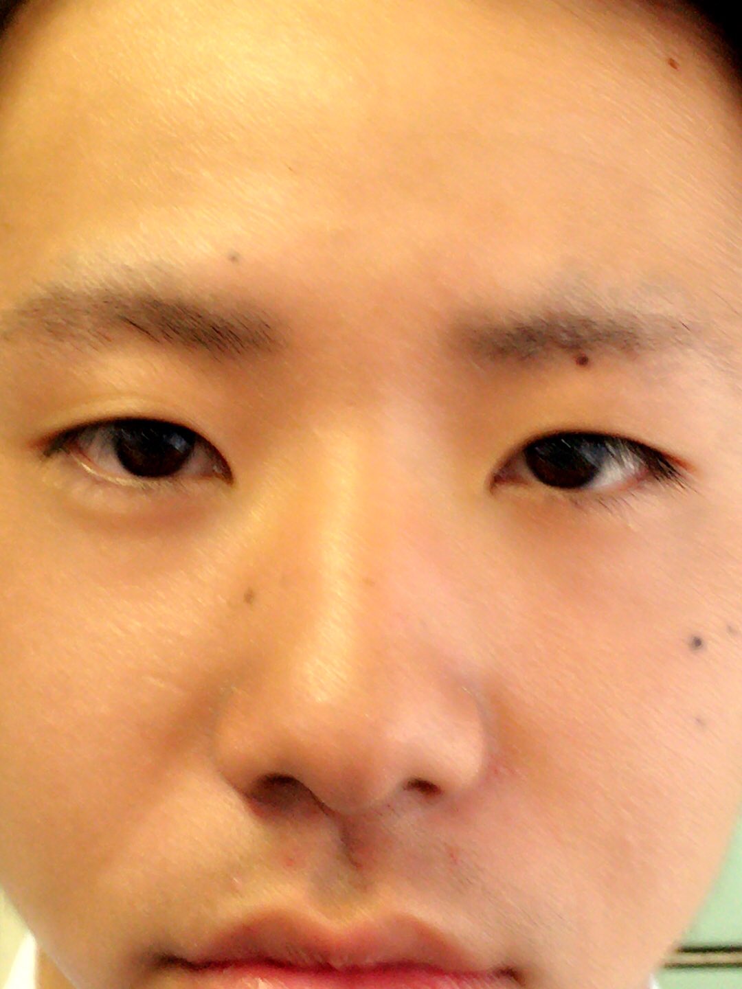 実写版スヌーピー Twitter Search Twitter