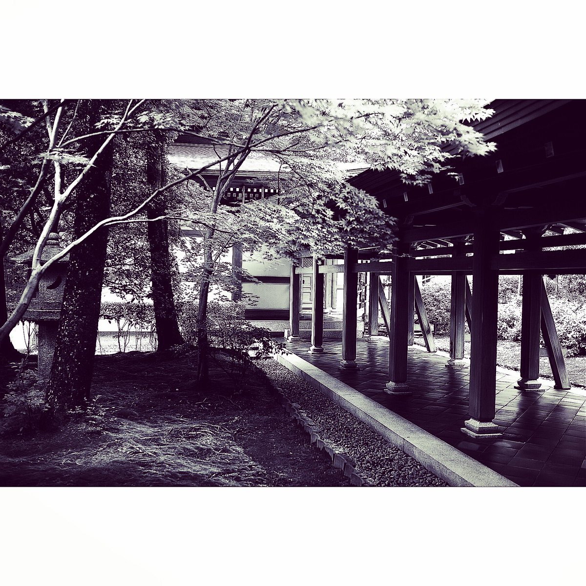 #monocrome #shadow #leica #Japan #photographers  #フォトグラファー #日本 #写真  #tokyo #写真家 #アート #モノクローム #山  #光 #空 #自然 #白黒 #夕陽