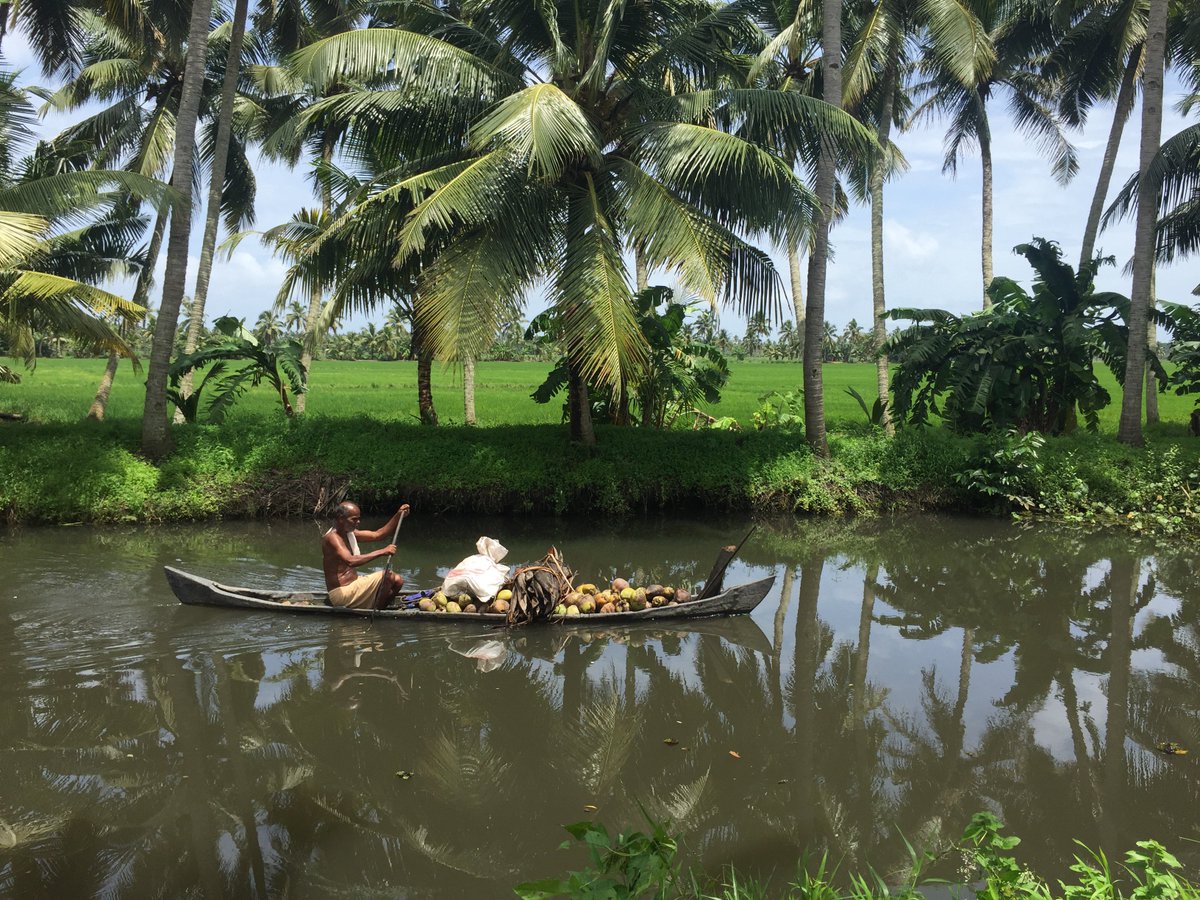 The Great Backwaters of Kerala #ദൈവത്തിന്റെസ്വന്തംനാട് #backwatercruise #vembanadlake #houseoat #godsowncountry
