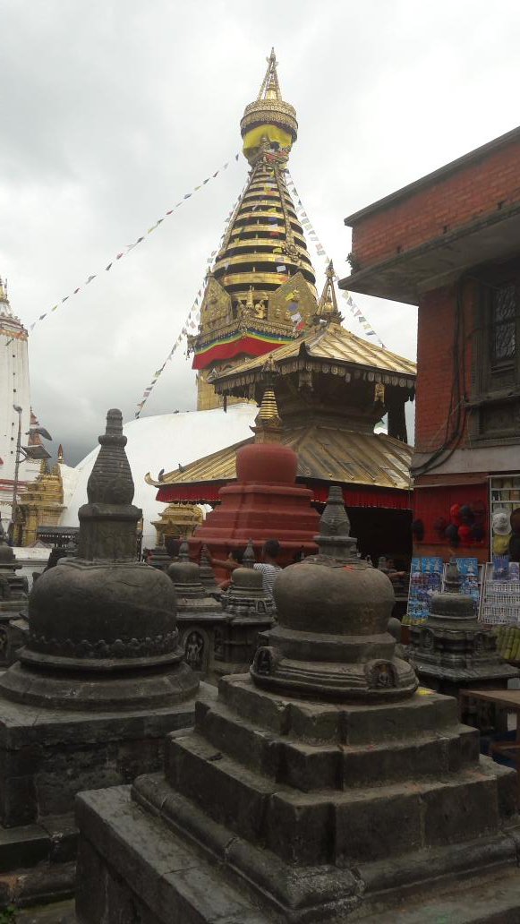 AllHiking's tweet photo. Hiking in Nepal during moonson https://t.co/Zt7QeeSgvj