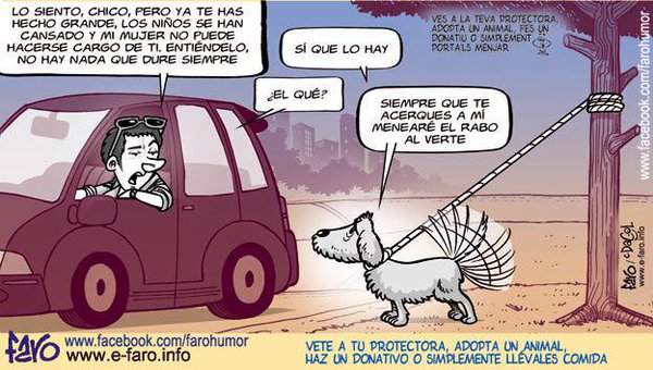 Animalesmsjs's tweet image. — Él nunca lo haría. 💔😔😭😭