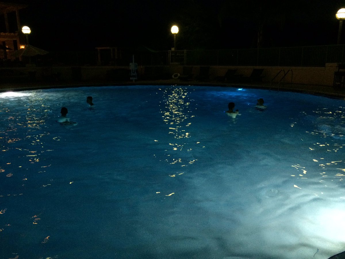 team_items's tweet photo. Enjoying our last evening in the US in the pool https://t.co/Ts4F3GByda