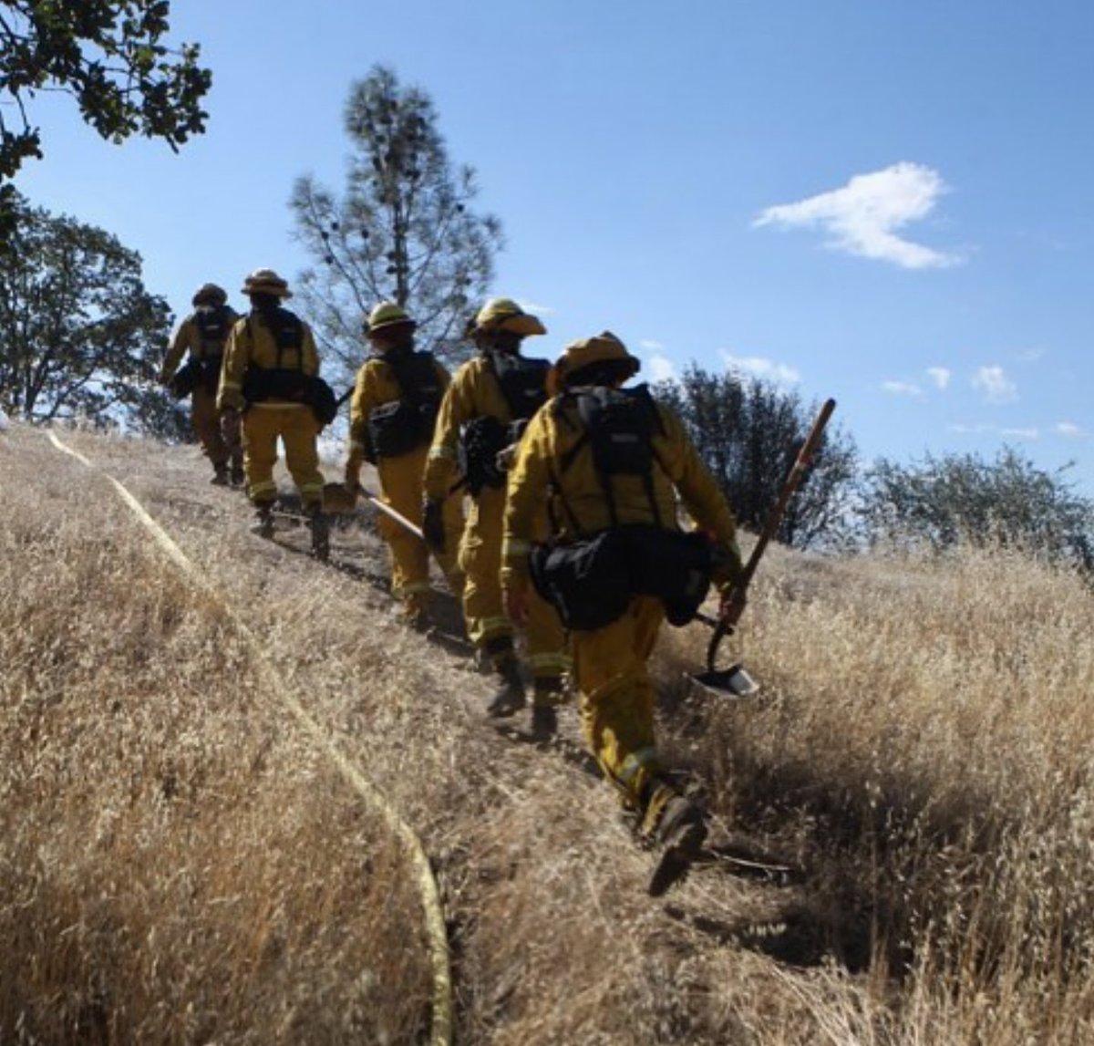 CAL_FIRE's tweet photo. #FiddlerFire [update] SW of Igo (Shasta Co) is now 441 acres &amp; 95% contained. https://t.co/KSCfGF0Rt4 Photo: Greg B. https://t.co/VTIckpb2EG